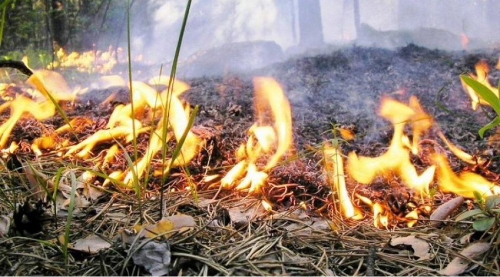 ermenistan-azerbaycan-serhedinde-bash-veren-yangin-davam-edir