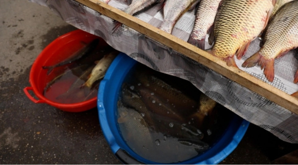 yasamal-bazari-ve-inshaatchilar-metrostansiyasi-etrafinda-qanunsuz-kuche-satishina-qarshi-reyd-kechirilib