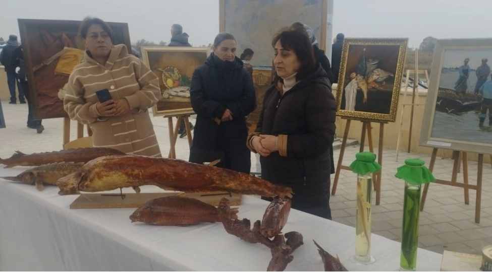 neftchalada-ilk-defe-baliq-festivali-kechirilib