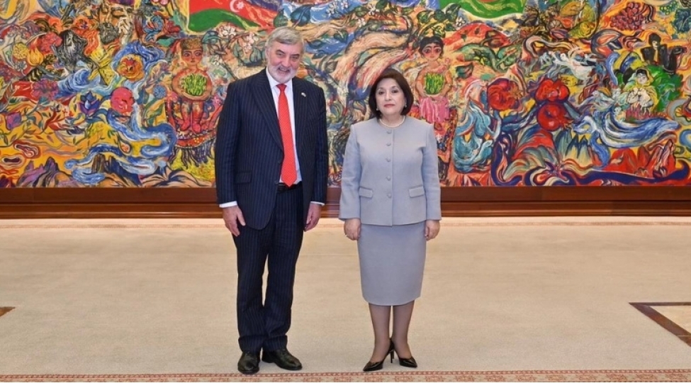 milli-meclisin-sedri-britaniyanin-azerbaycan-uzre-ticaret-elchisi-ile-gorushub