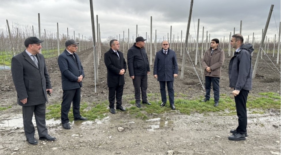 akia-sedri-yalchin-camalov-qubada-vetendashlari-qebul-edib-teserrufatlara-bash-chekib