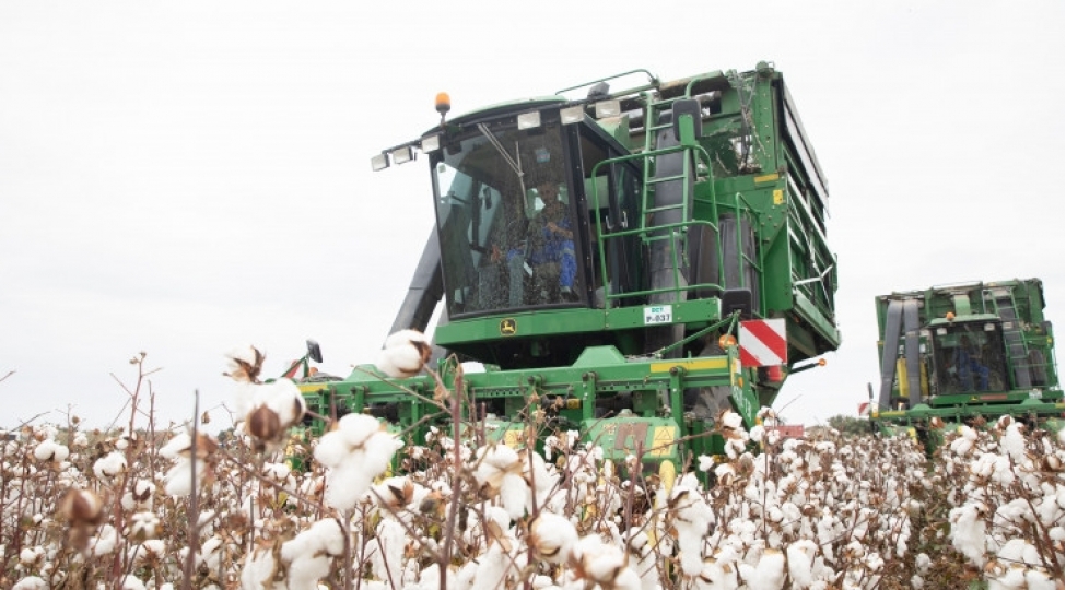 azerbaycanda-pambiq-yigimi-yekunlashir-sahelerden-356-min-tona-yaxin-xam-pambiq-yigilib