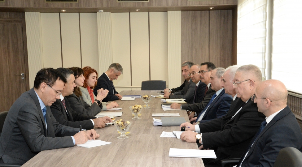 tahir-budaqovla-bmt-nin-azerbaycan-respublikasindaki-rezident-elaqelendiricisi-xanim-vladanka-andreyeva-arasinda-gorush-kechirilib