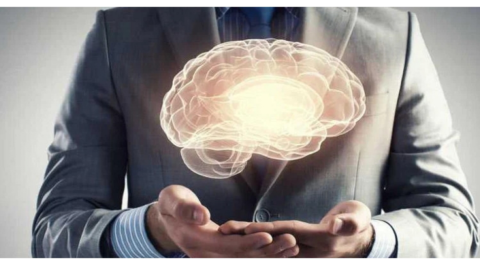 insan-beyninin-dord-esas-inkishaf-merhelesi