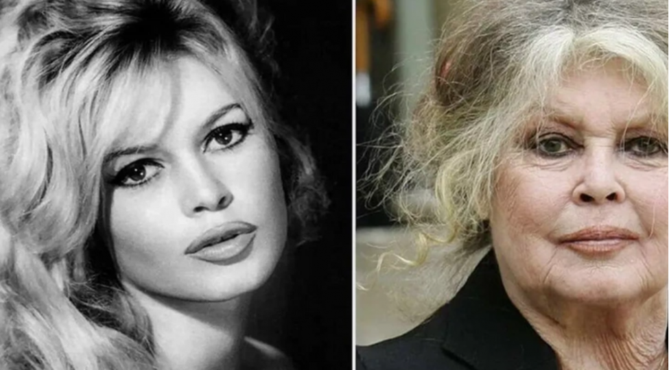 bricit-bardo-vefat-edib