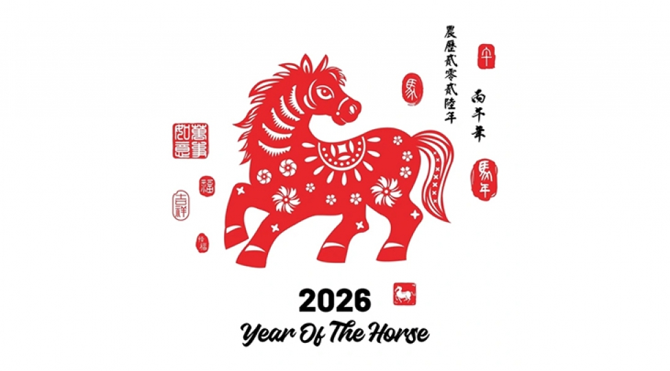 at-ili-neler-ved-edir