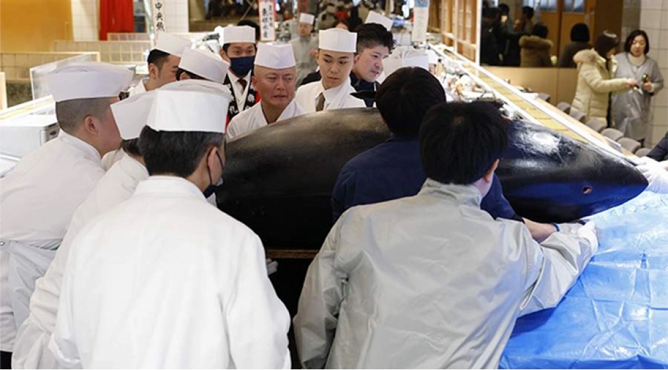 yaponiyada-tuna-baligi-herracda-rekord-qiymete-satildi