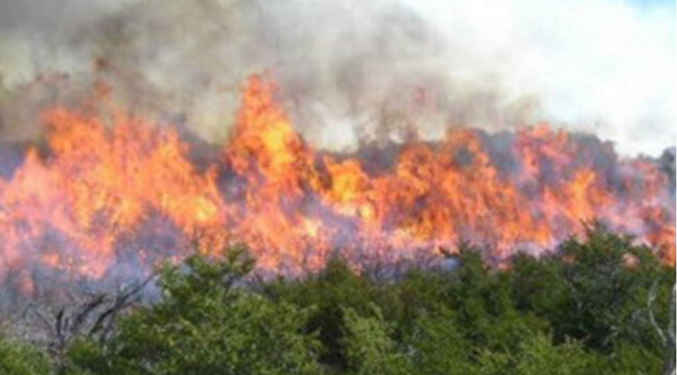 cebrayil-ve-fuzulinin-achiq-erazilerinde-yanginlar-qeyde-alinib