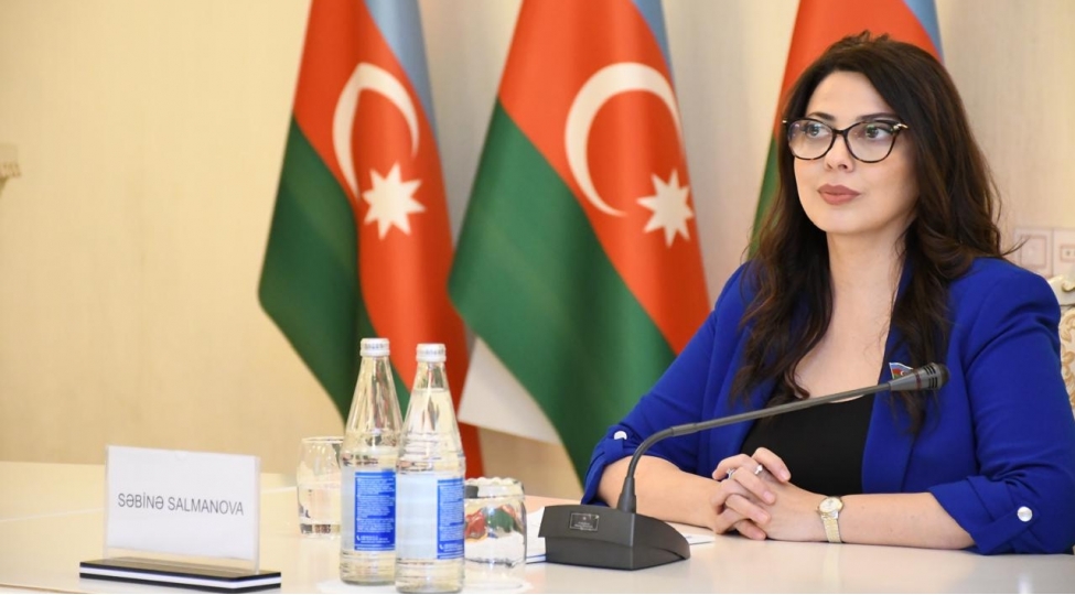 prezidentin-euronewsa-musahibesi-olkemizin-qlobal-platformalarda-artan-siyasi-chekisinin-bariz-numunesidir-deputat