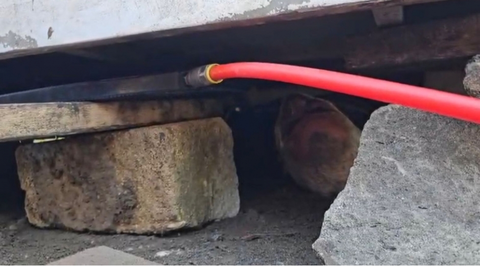 temir-zamani-avtobusun-altinda-qalan-shexs-xilas-edilib