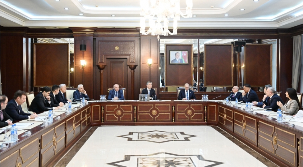 milli-meclisin-insan-huquqlari-komitesinin-novbeti-iclasi-olub