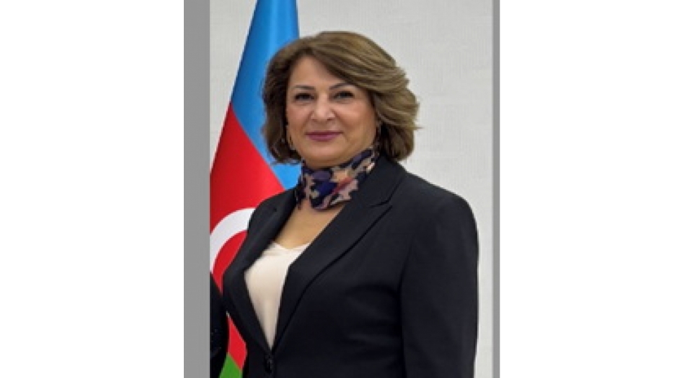 naxchivannin-elektroenergetika-sahesinin-inkishaf-merheleleri