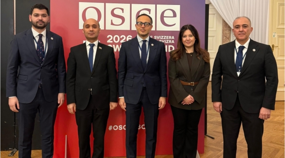 turkpa-numayende-heyeti-vyanada-atet-pa-nin-qish-sessiyasinda-ishtirak-edir