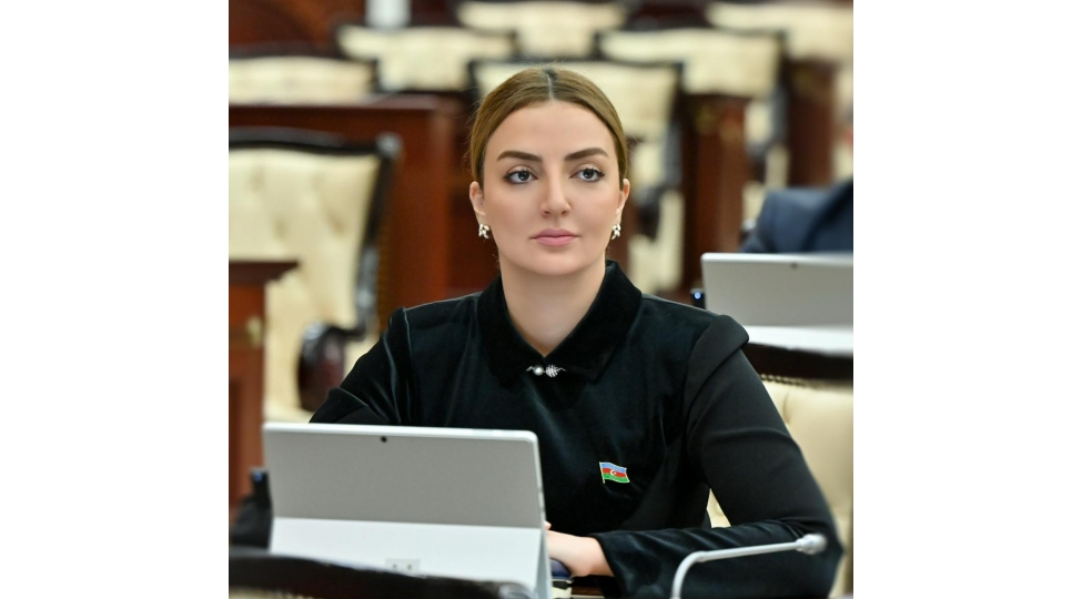 bash-veren-texribat-cehdleri-anti-azerbaycan-merkezler-terefinden-idare-olunur