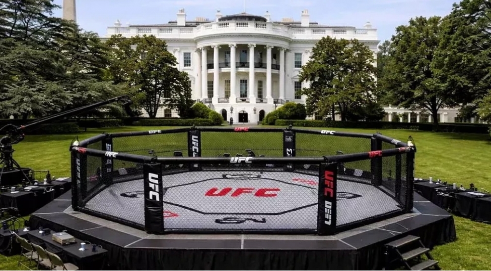 ufc-nin-ag-ev-turniri-uchun-xercleri-rekord-hedde-chatir