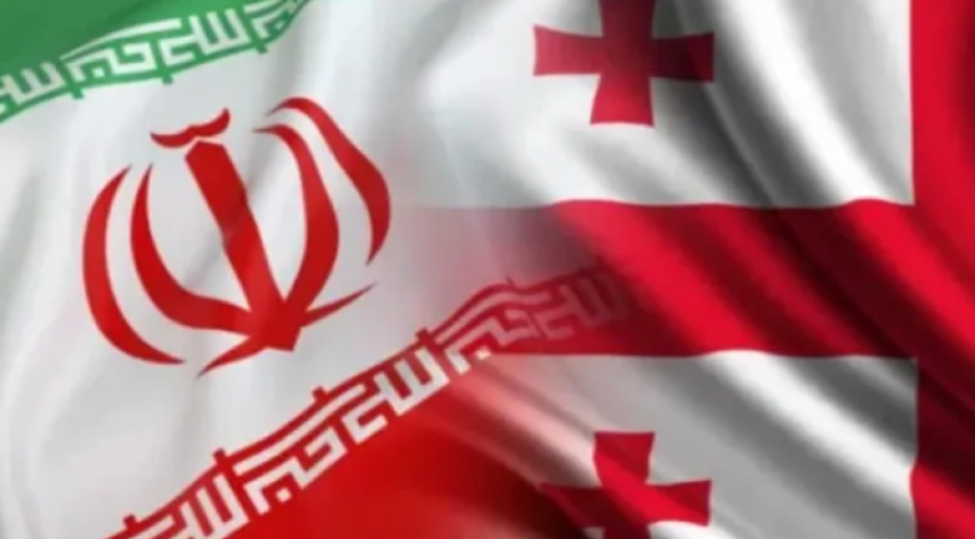 seyid-eli-mocani-vetendashlarin-gurcustandan-qayitmasina-komek-gosterilecek