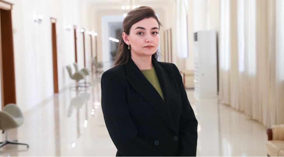 beynelxalq-emekdashliq-sehiyyede-keyfiyyet-ve-standartlari-tekmilleshdirir-tamam-hesenova