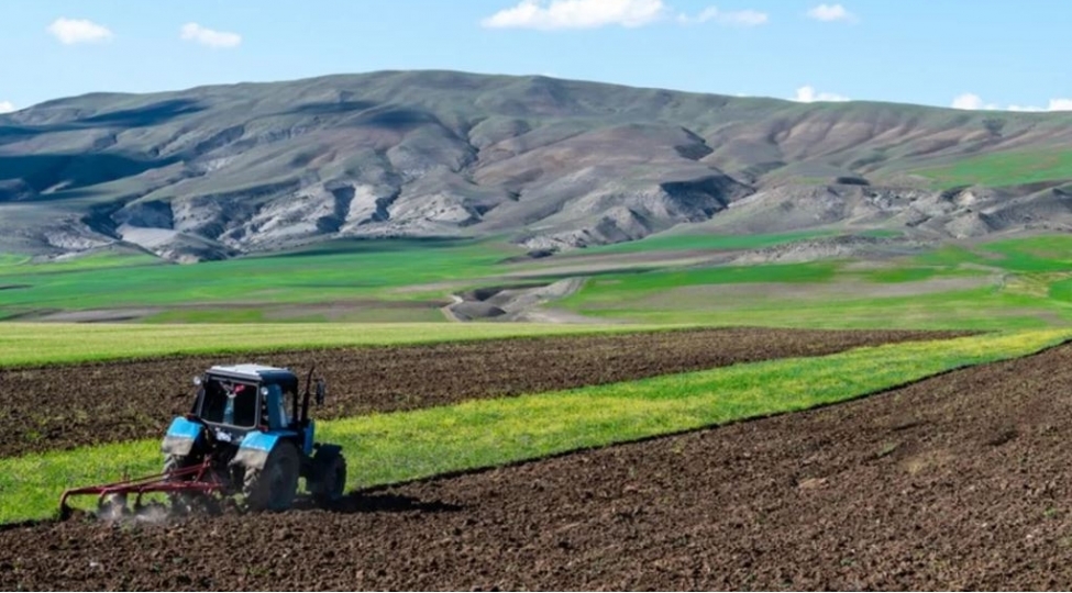 azerbaycanda-aqrar-sektor-1-den-chox-boyuyub-2