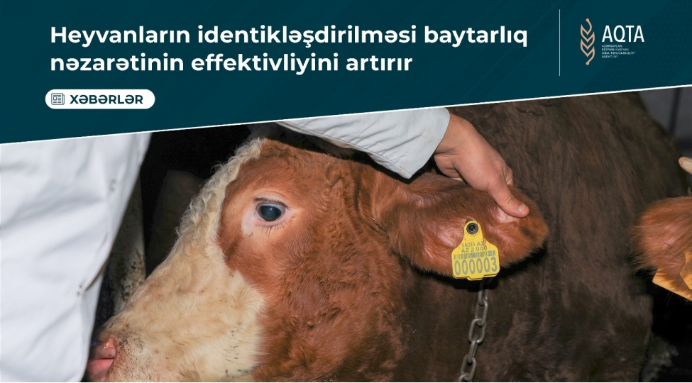 heyvanlarin-identikleshdirilmesi-baytarliq-nezaretinin-effektivliyini-artirir