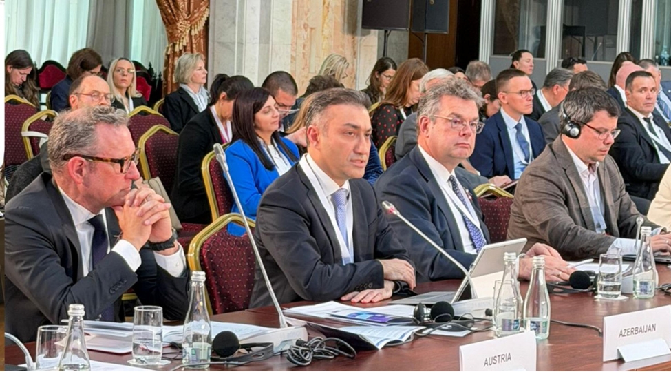 avropa-sosial-huquqlar-uzre-yuksek-seviyyeli-konfransda-olkemizde-aparilan-ugurlu-sosial-islahatlardan-behs-olunub