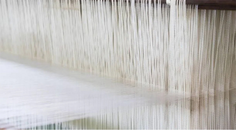 azerbaycan-pambiq-ipliyi-istehsalini-63-den-chox-artirib