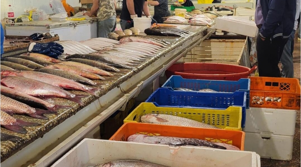 haminin-severek-yediyi-baliq-zererli-imish