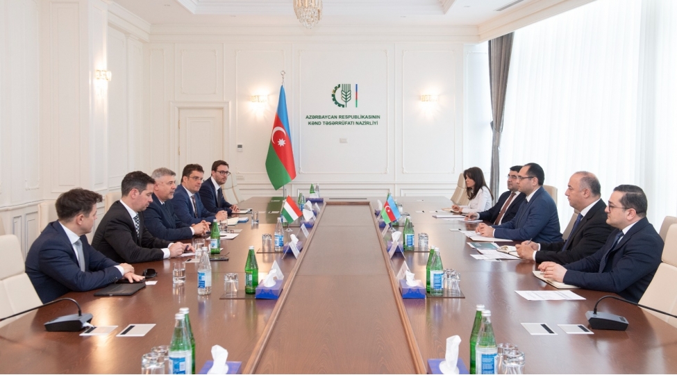 mecnun-memmedov-macaristanin-azerbaycandaki-sefiri-ve-tdt-nin-budapeshtdeki-numayendeliyinin-icrachi-direktoru-ile-gorushub