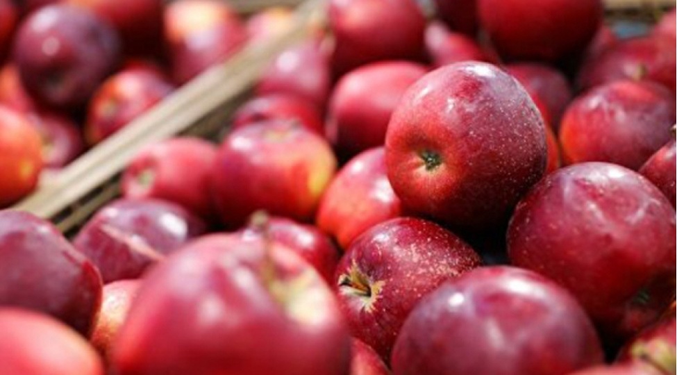 azerbaycan-son-5-ilde-alma-ixracini-2-defe-artirib