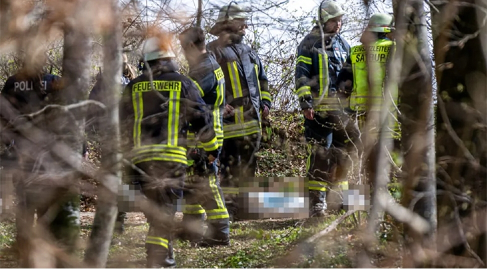 almaniyada-guclu-kulek-agaci-ashirib-uch-nefer-olub