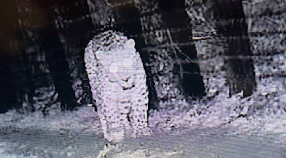 dovlet-serhedlerimizde-nadir-goruntu-bebir-serhedchilerimiz-terefinden-mushahide-edilib