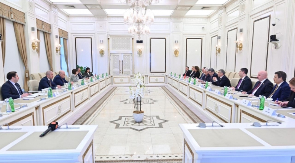 sahibe-qafarova-azerbaycan-turkiye-shimali-kipr-uchterefli-formati-emekdashligin-derinleshmesine-xidmet-edir