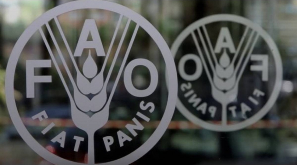 fao-hormuz-bogazindan-gubre-dashinmasinin-dayanmasi-qlobal-erzaq-teminatinda-problemler-yaradacaq