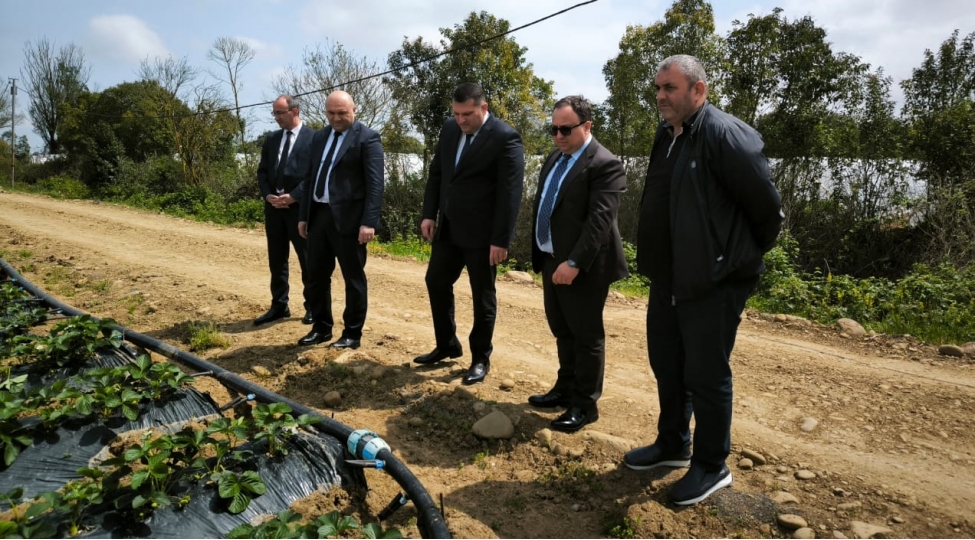 lenkeranda-chiyelek-ve-kartof-istehsalchilari-ve-ixracatchilari-ile-gorush-kechirilib