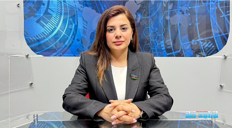 shusha-beyannamesi-yalniz-ikiterefli-munasibetlerin-senedi-deyil