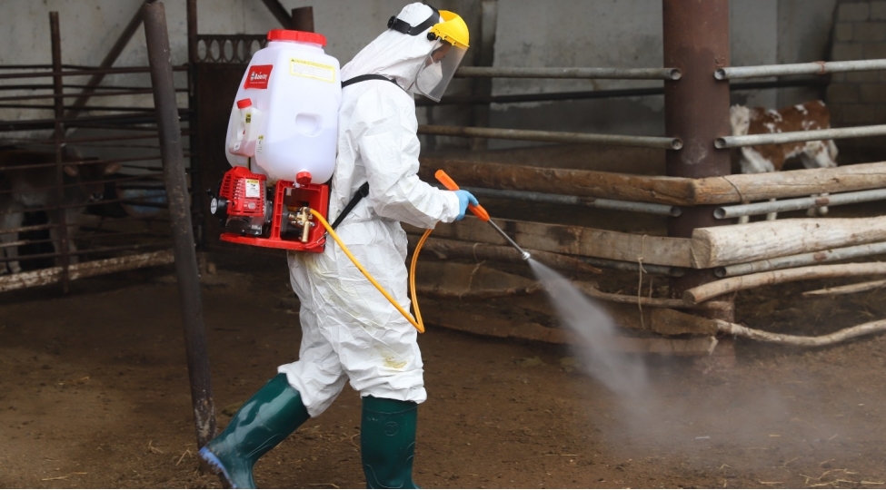 olke-uzre-peyvendleme-tedbirleri-davam-etdirilir