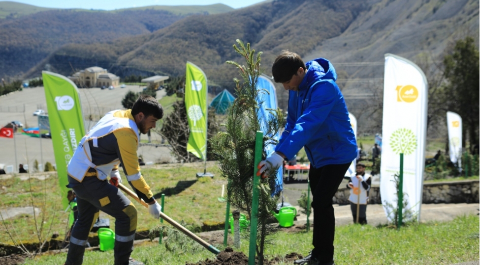 dashkesen-rayonunda-silsile-agacekme-aksiyalari-kechirilib-2