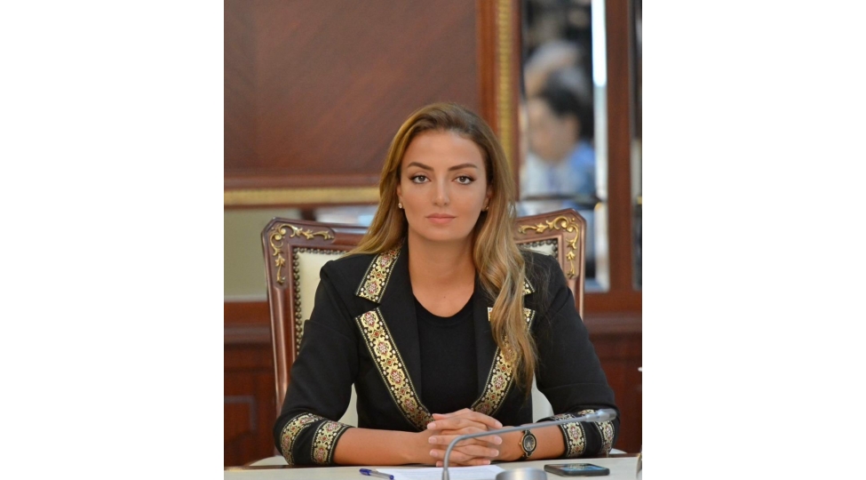 azerbaycan-ukrayna-elaqeleri-regional-ve-qlobal-geosiyasi-kontekstde-vacib-istiqametleri-ehate-edir