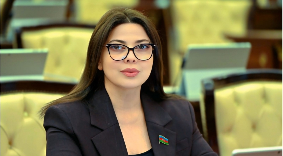 azerbaycan-geleceyin-sheher-modelini-yaradan-olke-kimi-chixish-edir-sebine-salmanova