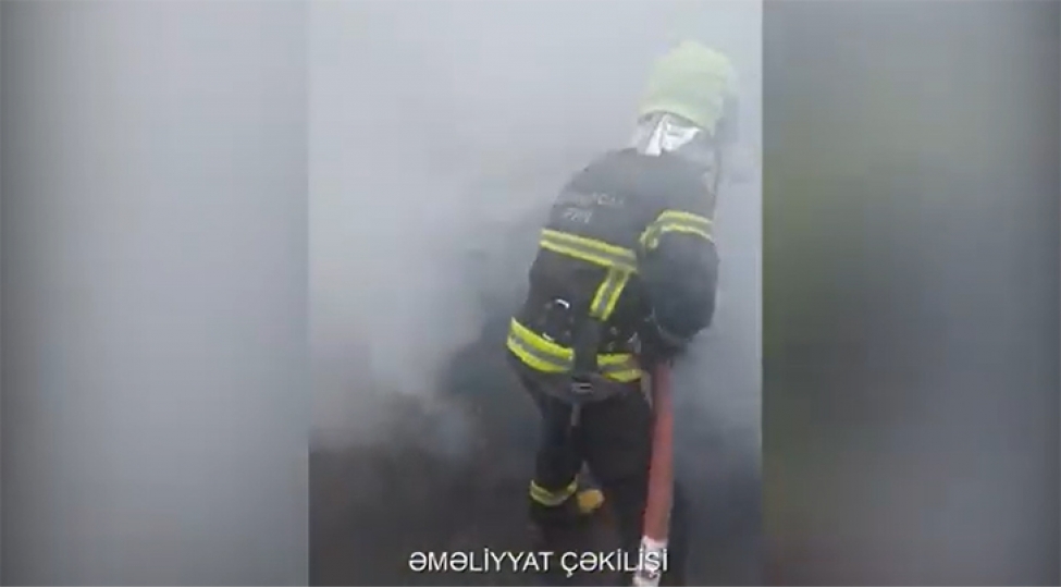 nerimanovda-mashin-yanib-video