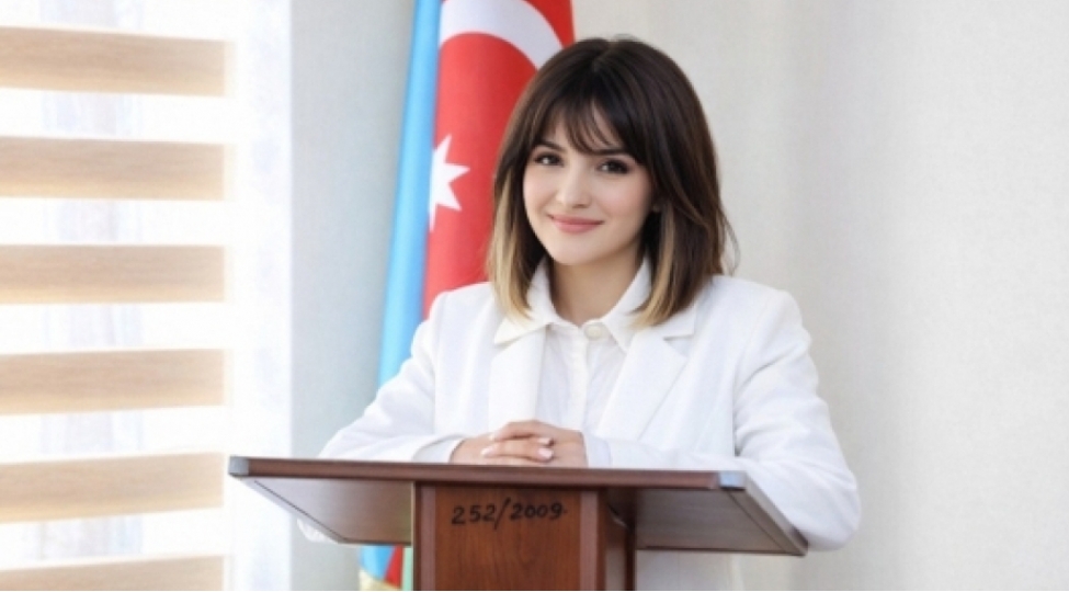 labirint-haqqinda-dilchi-alimin-dushunceleri