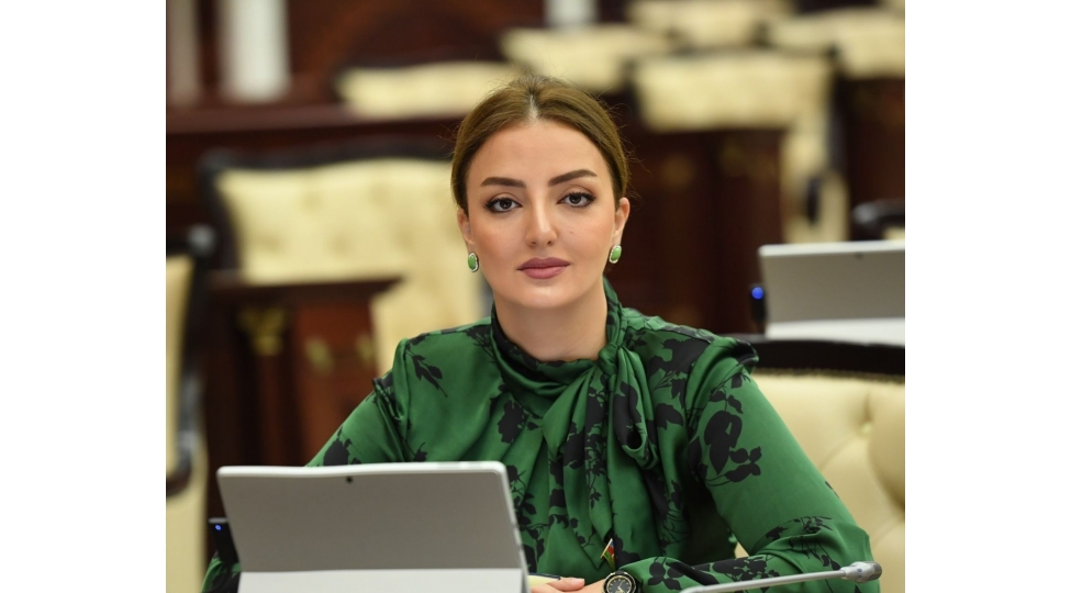 qarabag-ve-sherqi-zengezurda-heyata-kechirilen-su-layiheleri-aqrar-inkishaf-strategiyasinin-muhum-hissesidir