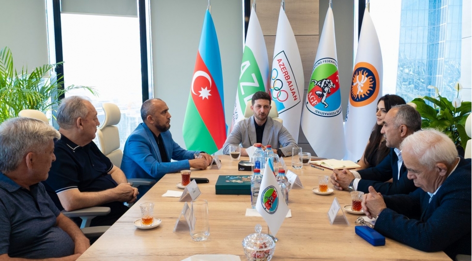 gulesh-federasiyasinda-yeni-komite-tesis-edilib