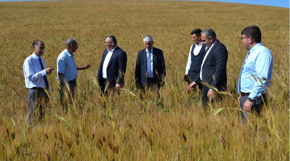 kend-teserrufati-nazirinin-muavini-zaur-eliyev-yardimlida-vetendashlarla-gorushub-teserrufatlara-bash-chekib