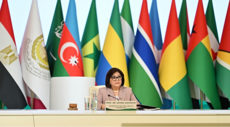 sahibe-qafarova-islam-dunyasi-ortaq-chagirishlara-qarshi-birge-fealiyyet-gostermelidir