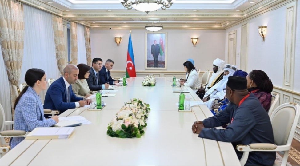 milli-meclisin-sedri-afrika-qrupu-parlament-sedrlerinin-muavinleri-ile-gorushub