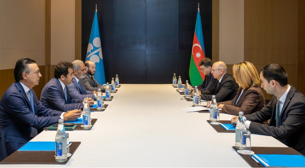 energetika-naziri-neft-ixrac-eden-olkeler-teshkilatinin-opec-bash-katibi-ile-gorushub