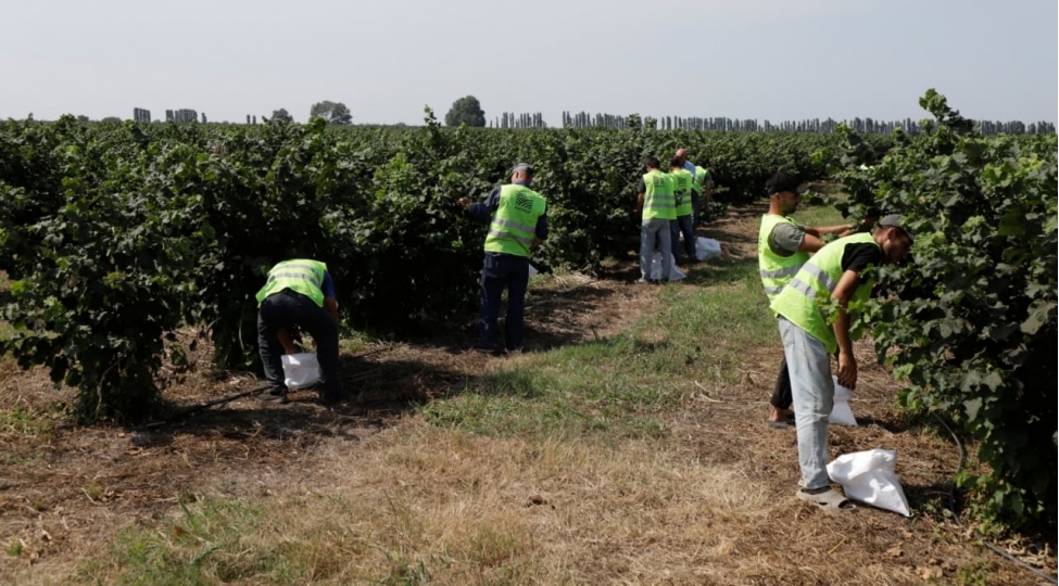 dovlet-desteyi-aqrar-sektoru-guclendirir-meyve-findiq-ve-sud-istehsalinda-rekord-gostericiler