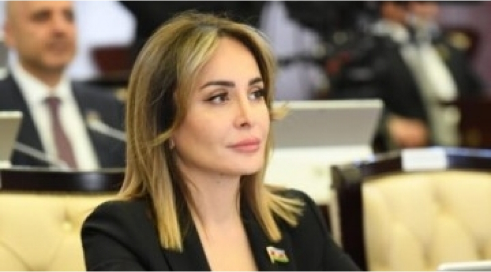 naxchivanin-tehlukesizlik-ve-mudafie-potensiali-esas-prioritetler-sirasindadir