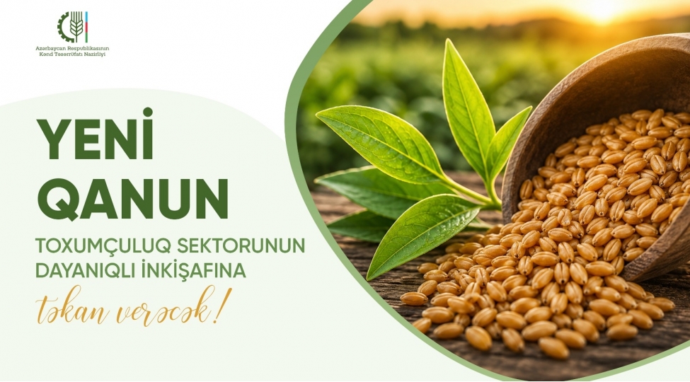 yeni-qanun-toxumchuluq-sektorunun-dayaniqli-inkishafina-tekan-verecek
