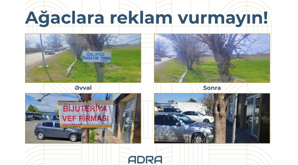 ADRA ağacların üzərinə vurulmuş yüzlərlə reklam qurğusunu demontaj edib